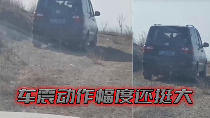 车震动作幅度还挺大.