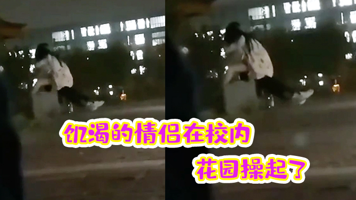 饥渴的情侣在校内花园操起了的